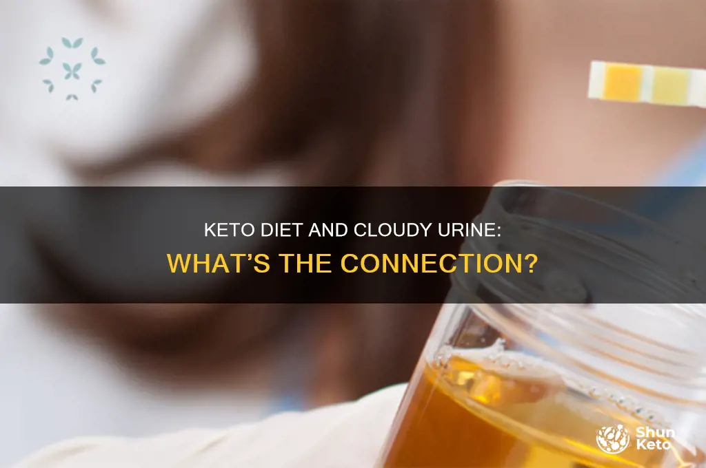can keto diet cause urine to be cloudy