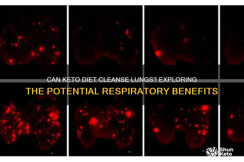 can keto diet cleanse lungs