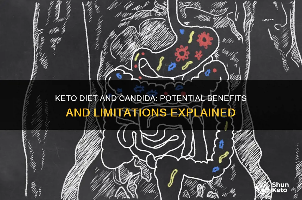 can keto diet cure candida