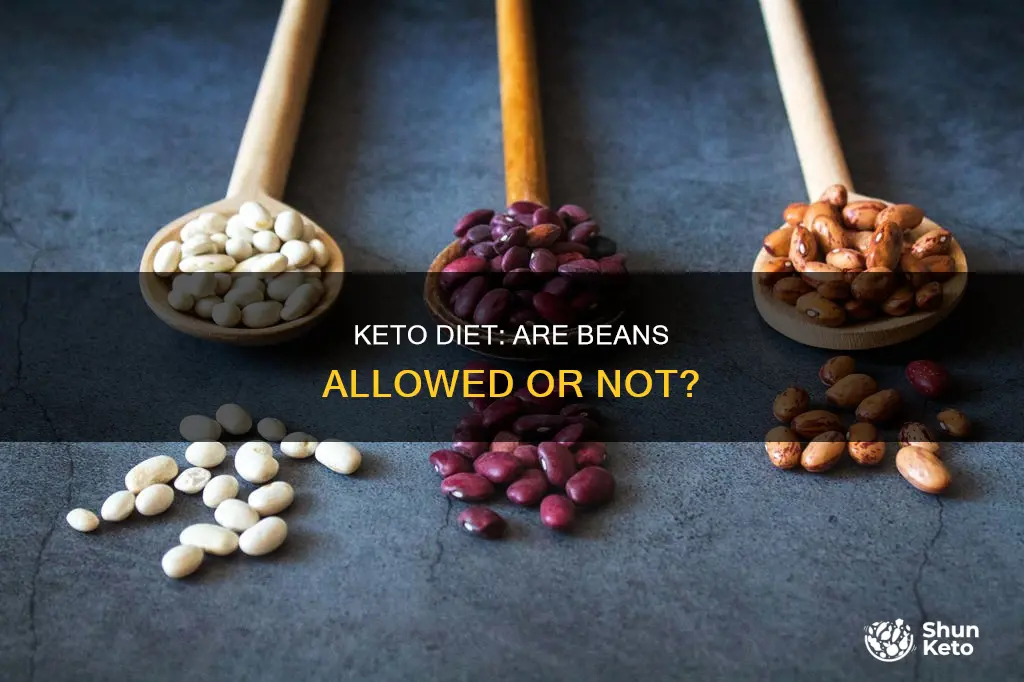 can keto diet eat beans