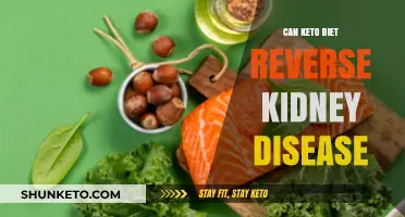 Can Keto Diet Reverse Kidney Disease? Exploring the Evidence and Risks
