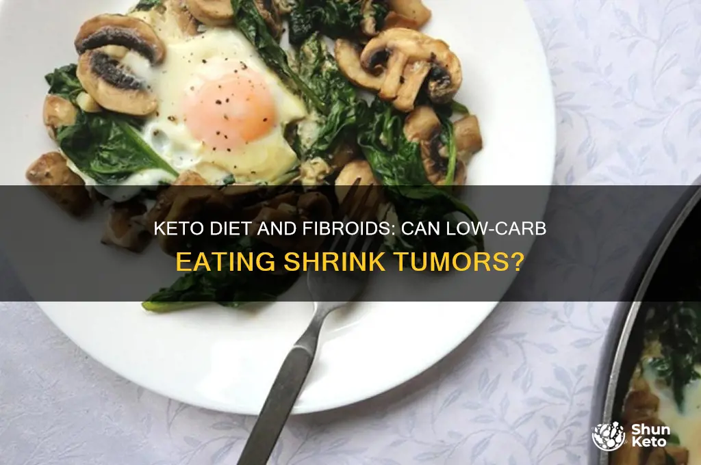 can keto diet shrink fibroid