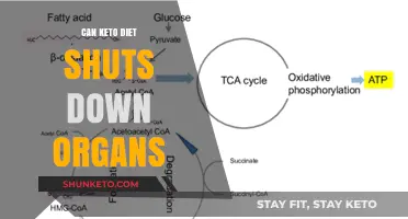 Can Keto Diet Shut Down Organs? Debunking Myths and Facts