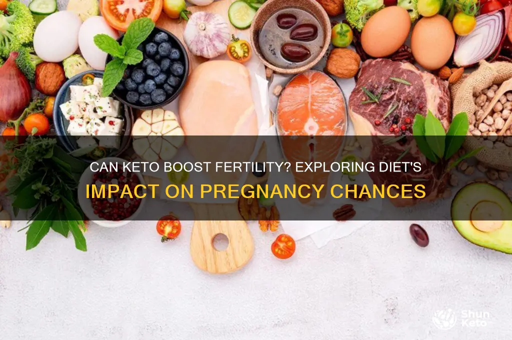 can keto get you pregnant
