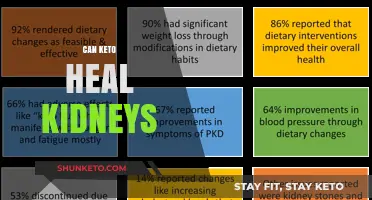 Can Keto Diet Support Kidney Health? Exploring the Potential Benefits
