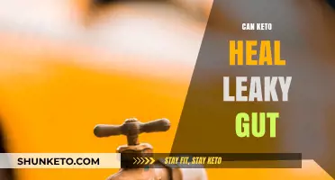 Can Keto Diet Repair Leaky Gut? Exploring the Gut-Healing Potential