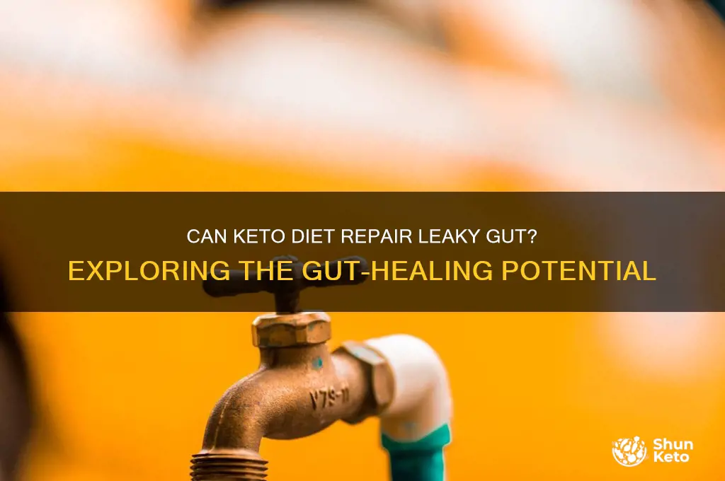 can keto heal leaky gut