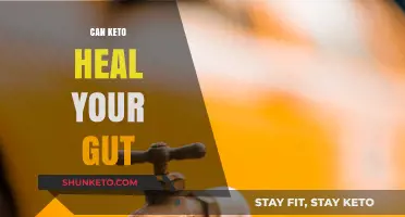 Keto Diet and Gut Health: Can Low-Carb Heal Your Digestive System?