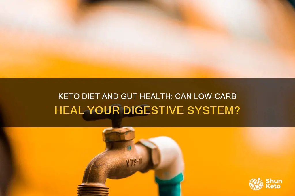 can keto heal your gut