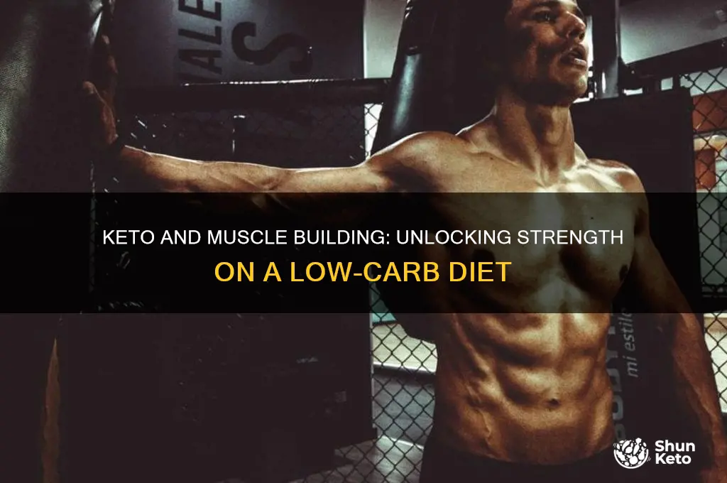 can keto help build muscle