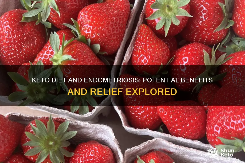 can keto help endometriosis