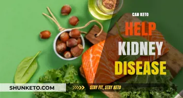 Keto and Kidney Health: Exploring Benefits and Risks for Disease Management