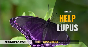 Keto Diet and Lupus: Exploring Potential Benefits and Risks
