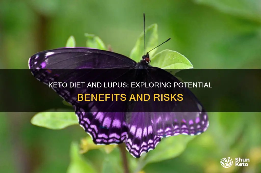 can keto help lupus
