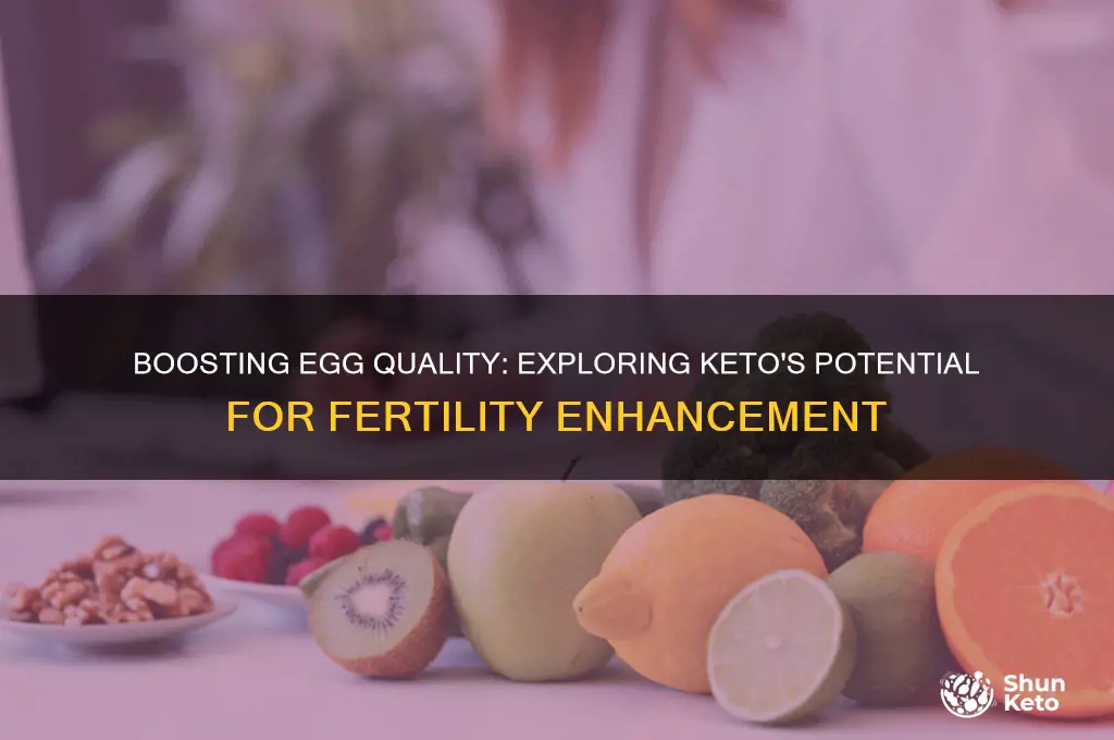can keto help to improve egg quality