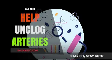 Keto Diet and Artery Health: Can It Reverse Clogging?