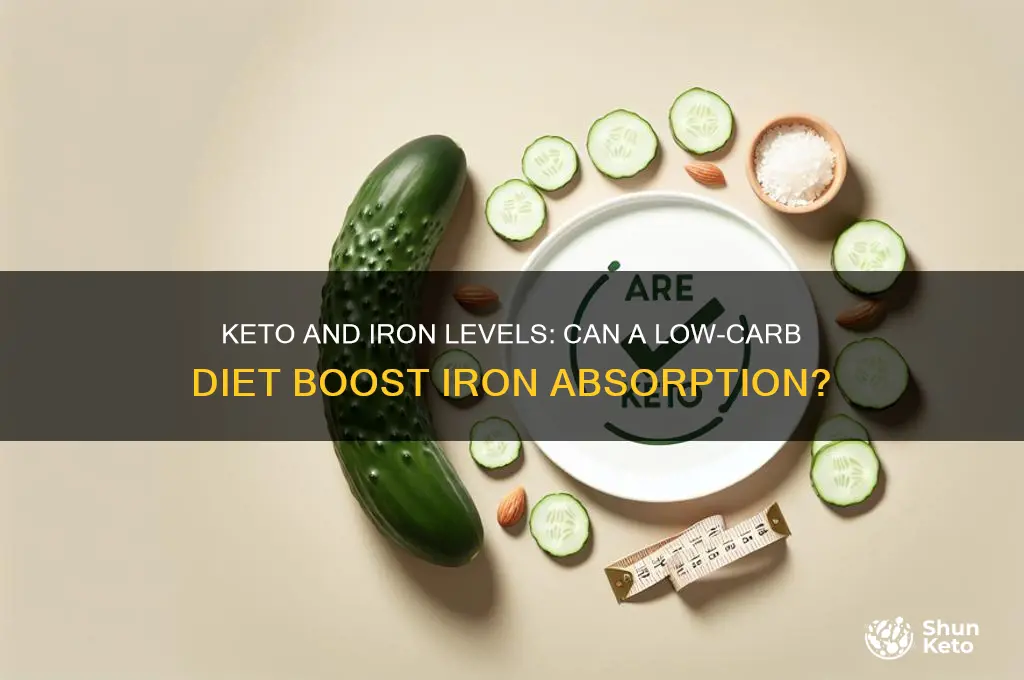 can keto help with low iron