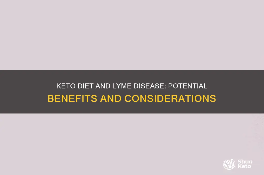 can keto help with lyme