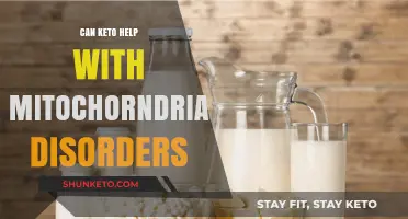 Keto and Mitochondrial Disorders: Exploring Potential Therapeutic Benefits
