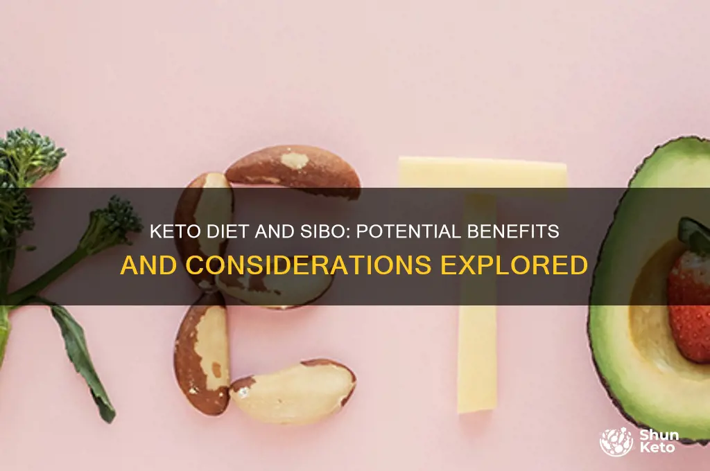 can keto help with sibo