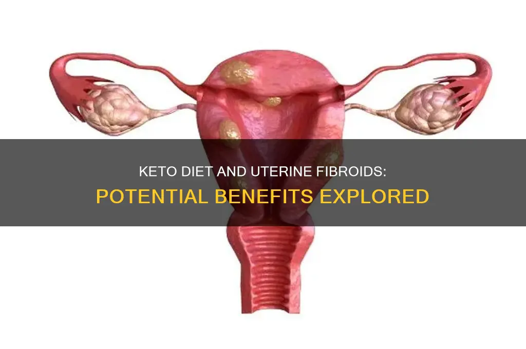 can keto help with uterine fibroids