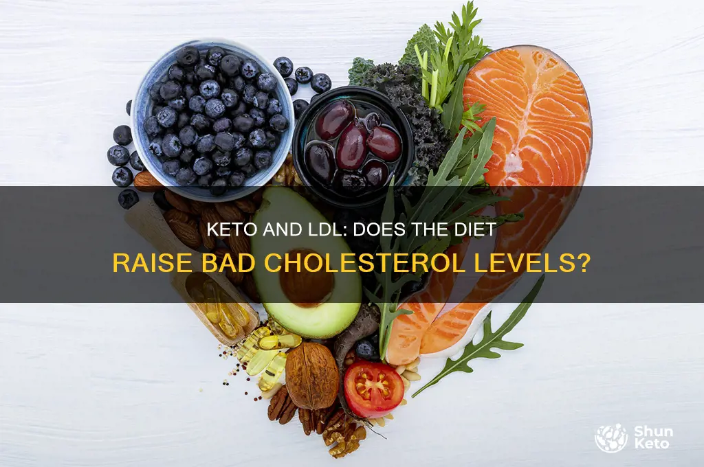 can keto increase ldl