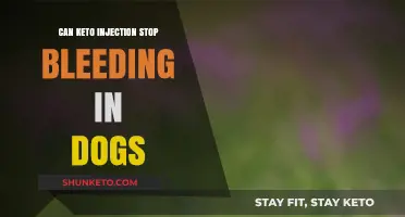 Keto Injection for Dogs: Can It Stop Bleeding Effectively?