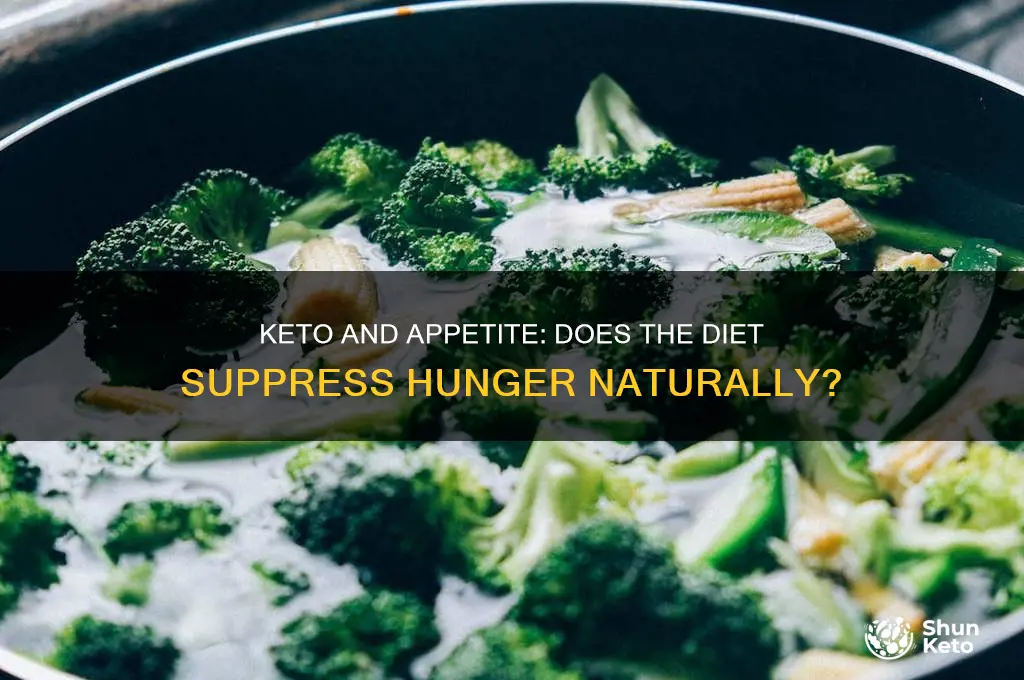 can keto kill your appetite
