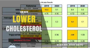 Keto Diet's Impact: Can It Effectively Lower Cholesterol Levels?