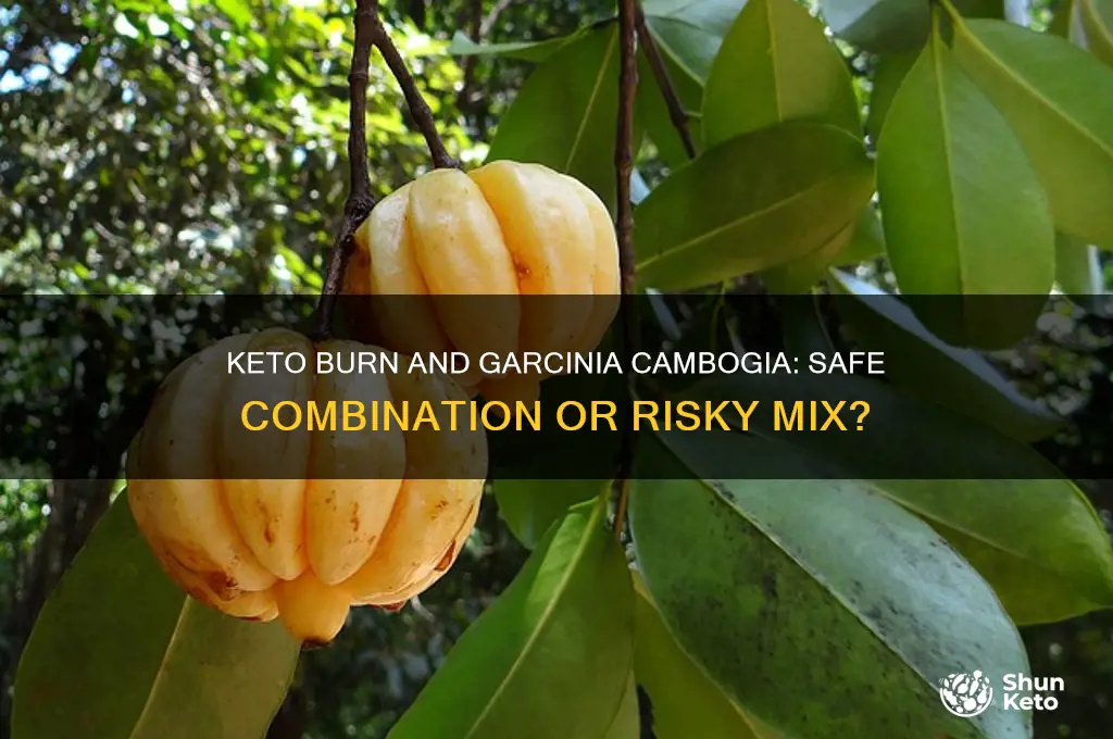 can keto monen trim be taken together with garcinia cambogia