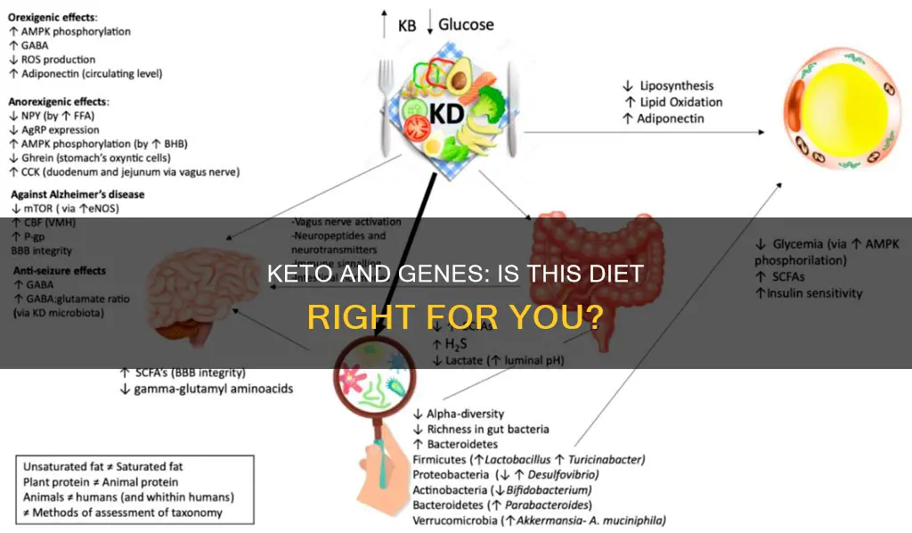 can keto not work if your geneticsdon