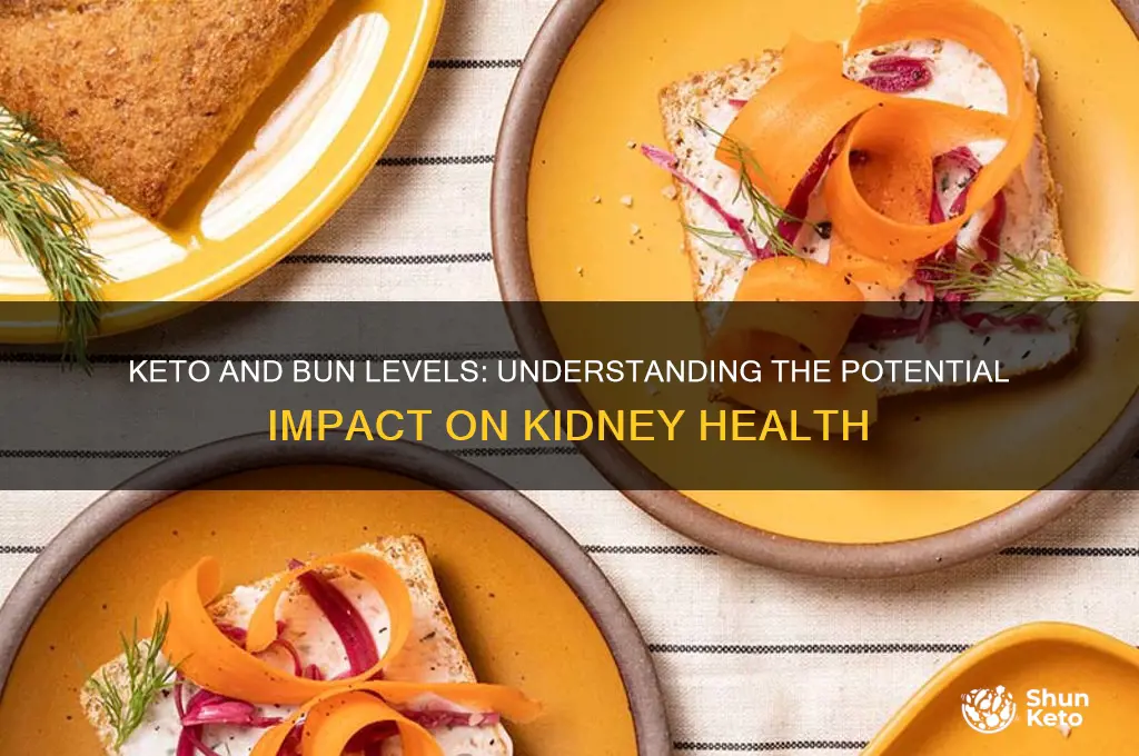 can keto raise your bun levels
