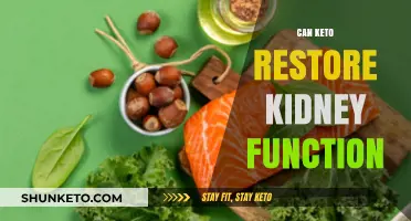 Can Keto Diet Improve Kidney Function? Exploring the Potential Benefits