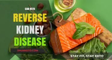 Can Keto Reverse Kidney Disease? Exploring the Diet's Potential Impact
