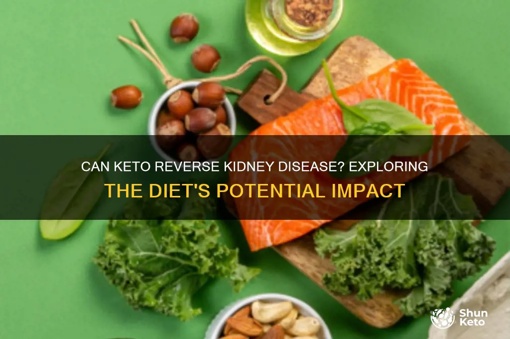 can keto reverse kidney disease