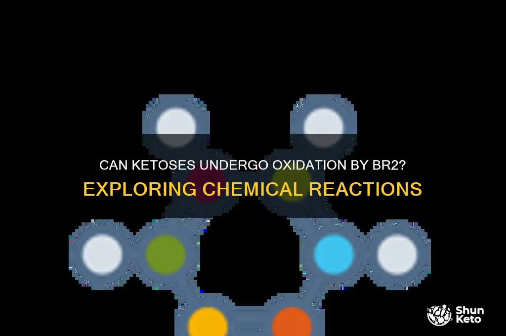 can ketoses be oxidized by br2