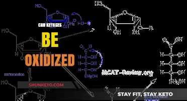 Can Ketoses Undergo Oxidation? Exploring Metabolic Pathways and Reactions