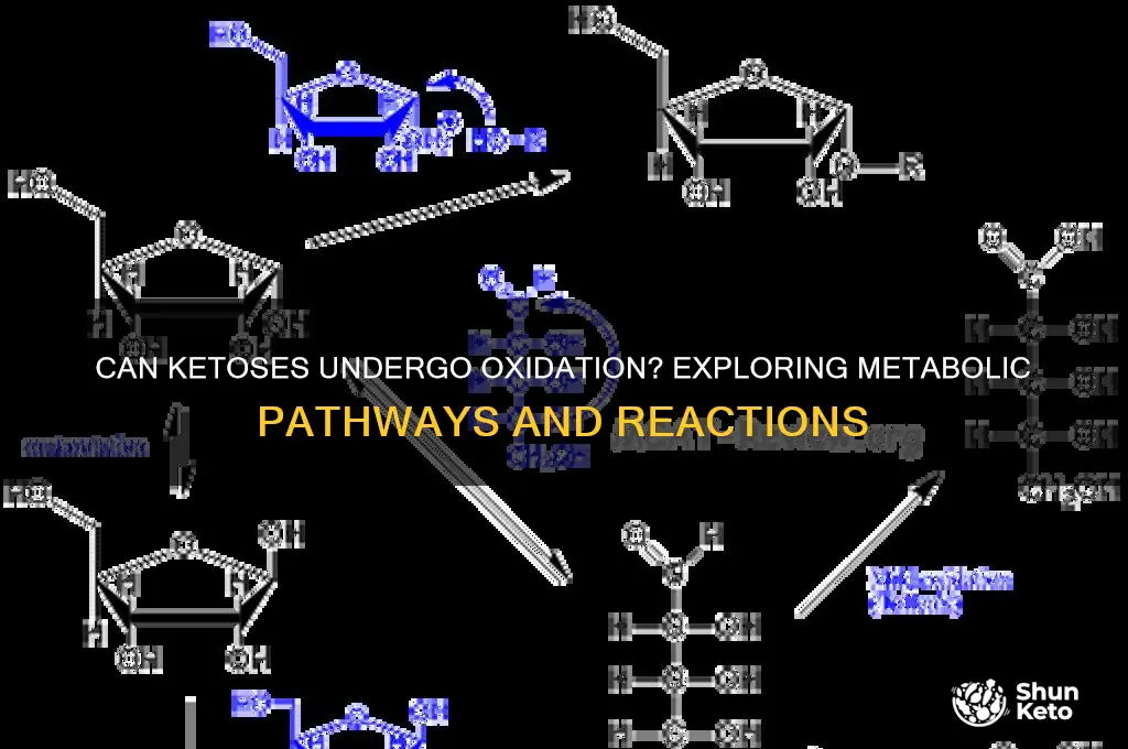 can ketoses be oxidized