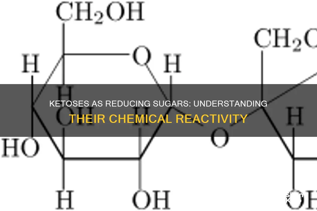 can ketoses be reducing sugars