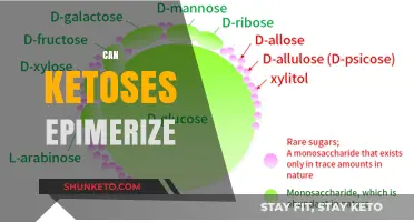 Exploring Ketoses Epimerization: Mechanisms, Factors, and Biological Significance