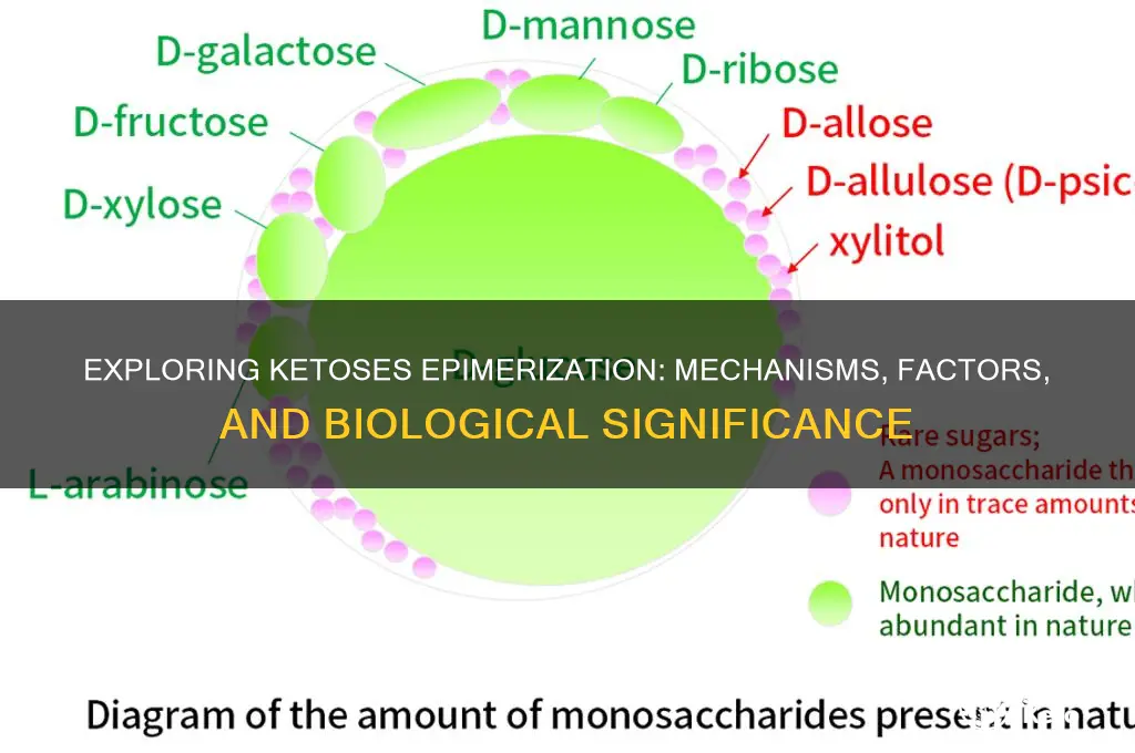 can ketoses epimerize