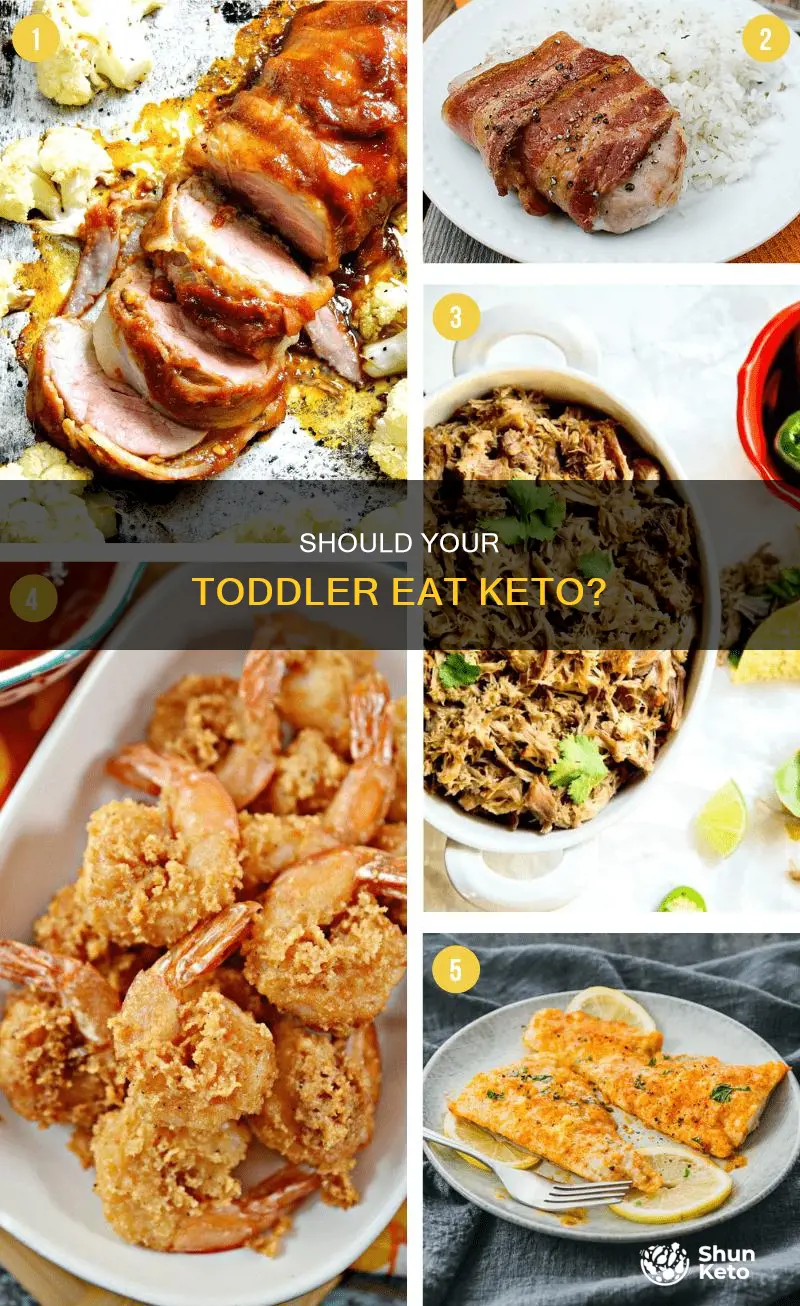 can my 2 year old eat the keto diet