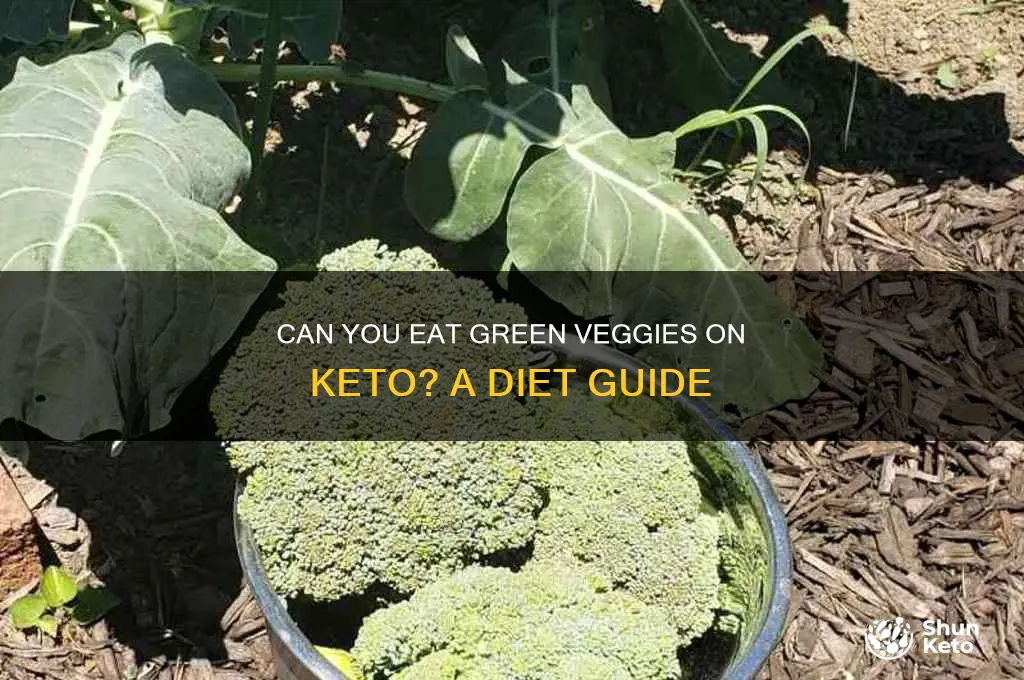 can obeat green veggies on keto fiet