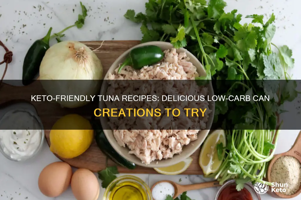 can of tuna recipes keto