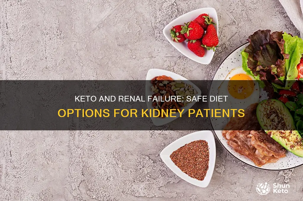 can people with renal failure do keto
