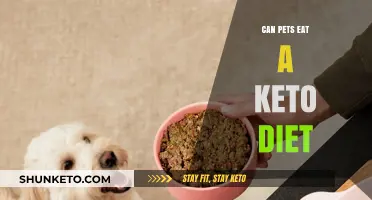 Pets on Keto: Is It Safe?