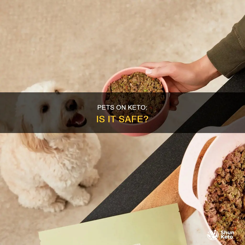 can pets eat a keto diet