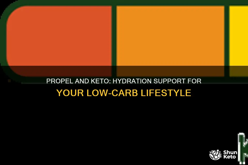 can propel help with keto diet