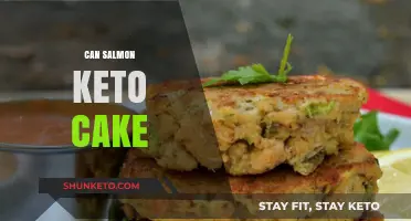 Delicious Keto-Friendly Salmon Cake Recipe: Healthy, Low-Carb, and Easy to Make