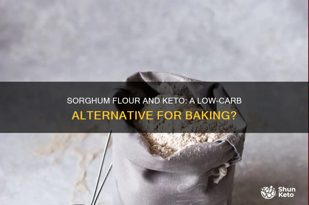can sorgum flour be used in keto diet